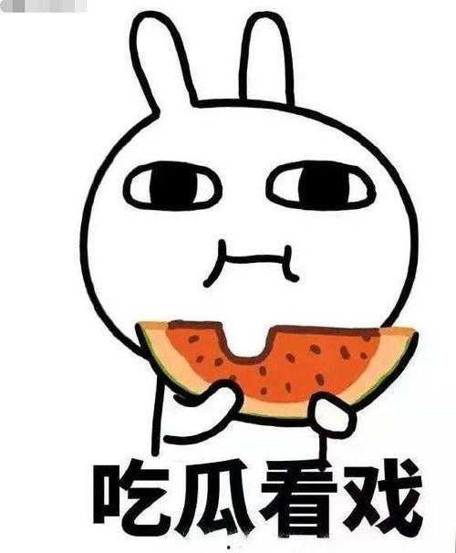 娱乐圈吃瓜呆头鹅,呆头鹅的趣味观察日记