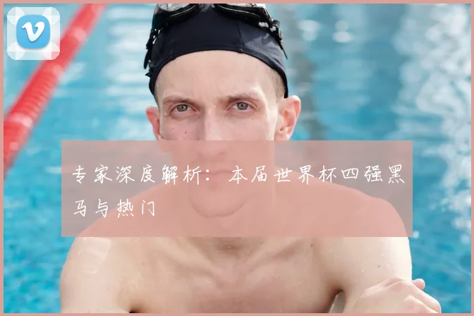 专家深度解析:本届世界杯四强黑马与热门