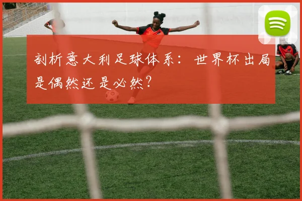 剖析意大利足球体系：世界杯出局是偶然还是必然？