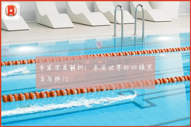 专家深度解析:本届世界杯四强黑马与热门