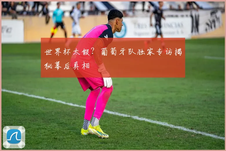 世界杯太假？葡萄牙队独家专访揭秘幕后真相