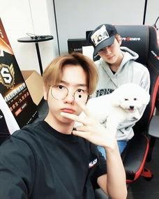 娱乐吃瓜酱正常男人,娱乐吃瓜酱视角下的生活点滴